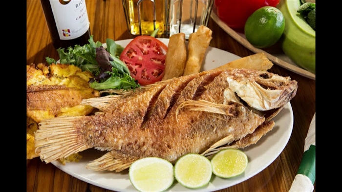 Gurasar Dogfish (Campeche)