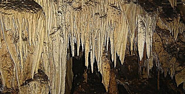 Urcarea stalactitei în Guerrero