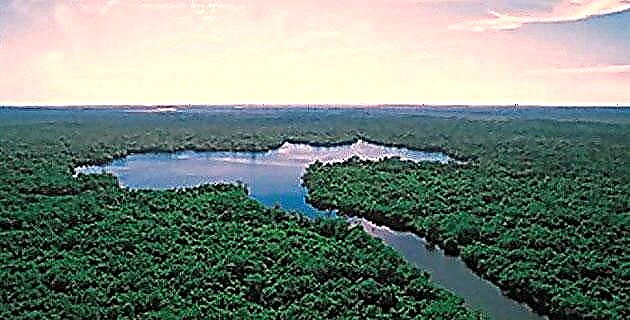 Мочуришта на Центла: мочуришта населени со Олмеци и Маите
