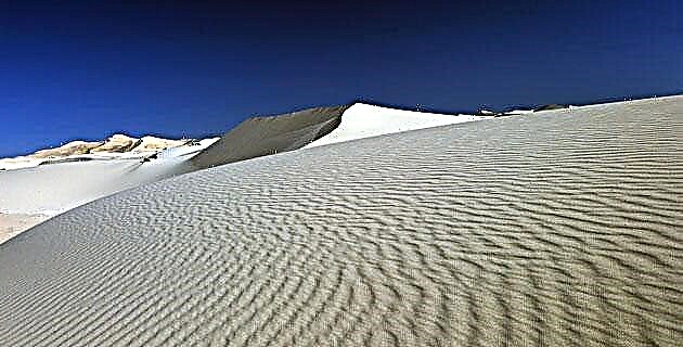 Samalayuca의 모래 언덕 : 치와와의 모래 왕국