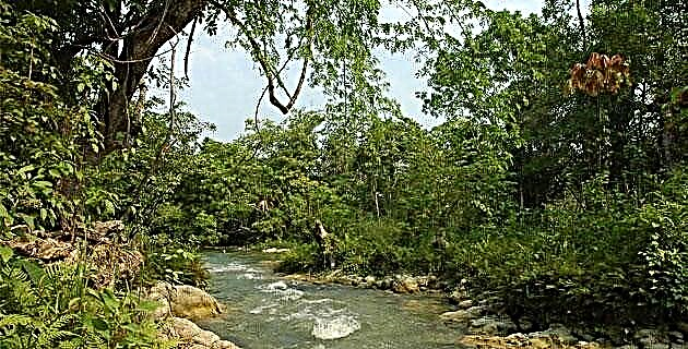 칸델라 리아 : 정글과 강의 세계 (캄 페체)