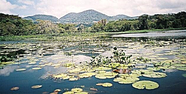 Veracruz အတွက် Catemaco lagoon