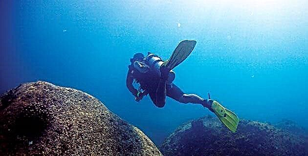 Diving in the reefs of Cabo Pulmo, Baja California Sur
