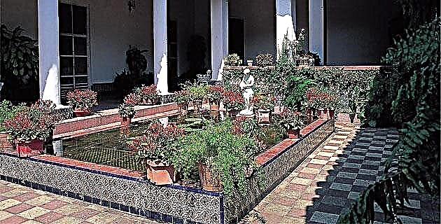 Hacienda de La Luz. Табаско, Ла Чонталпагийн какао аж ахуй