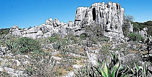 Сафари в Потосино Алтиплано и неговата магическа пустиня