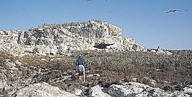 L-UNESCO ssemmi l-arċipelagu ta ’Las Marietas bħala Riżerva tal-Bijosfera.