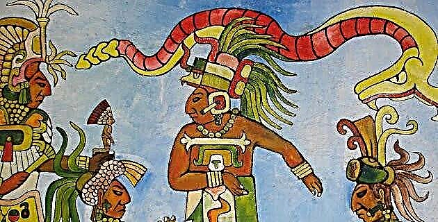 Studii Maya în Mexic