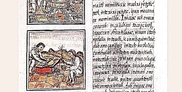 Florentine Codex ឬប្រវត្តិទូទៅនៃរឿងរ៉ាវនៃប្រទេសអេស្ប៉ាញថ្មី