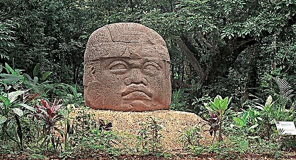 Olmec-hodet og dets oppdagelse