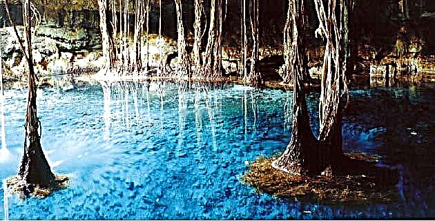 Campeche, deverek cenotes e ku hêj nayê lêkolîn kirin