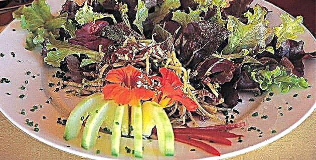 Tortilijos salotų receptas