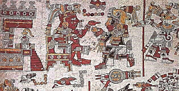 Mradi wa kuchapisha kodeki za Mesoamerica