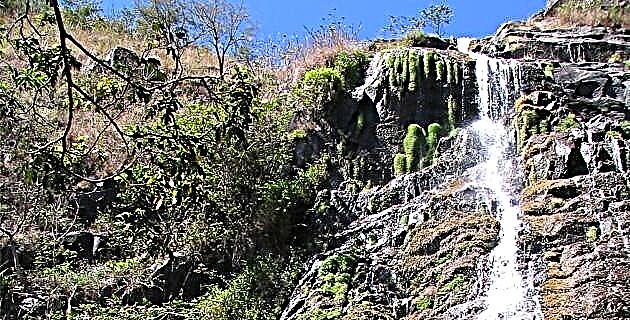 Ang Chorro Canyon: usa ka lugar nga wala makatunob (Baja California)
