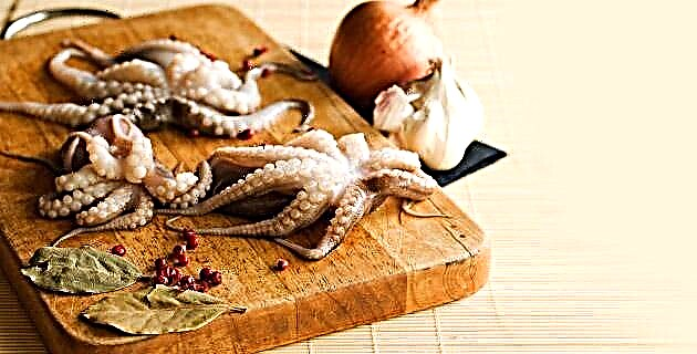 Opskrift: blæksprutte veracruzana