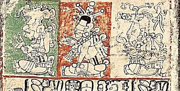 De uitwerking van de pre-Spaanse codices