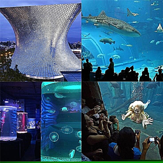 Inbursa Aquarium: behin betiko gida eta bisitatu aurretik jakin beharko zenukeena