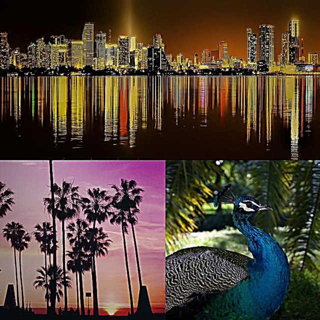 20 stvari koje morate raditi u Miamiju
