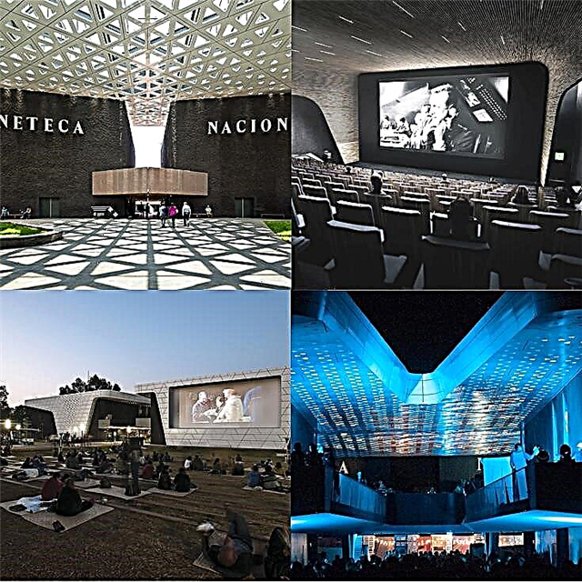 Cineteca Nacional de la Ciudad de México: ما لا يخبرك به أحد