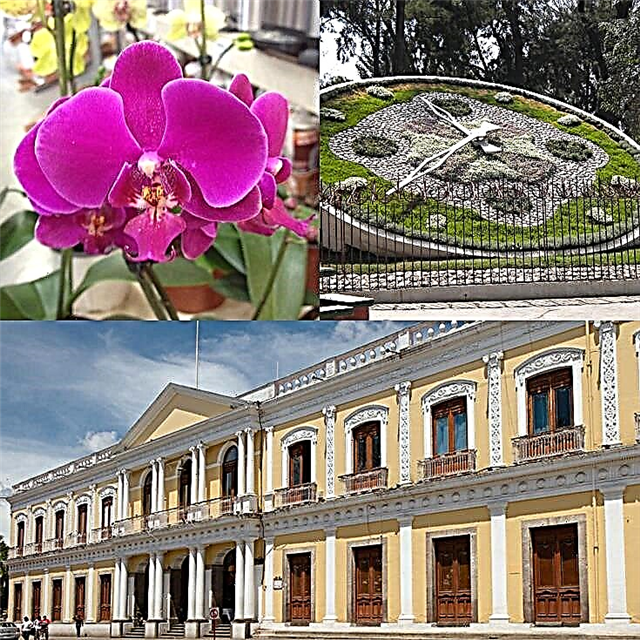 Coatepec, Veracruz - Magia Urbo: Definitiva Gvidilo
