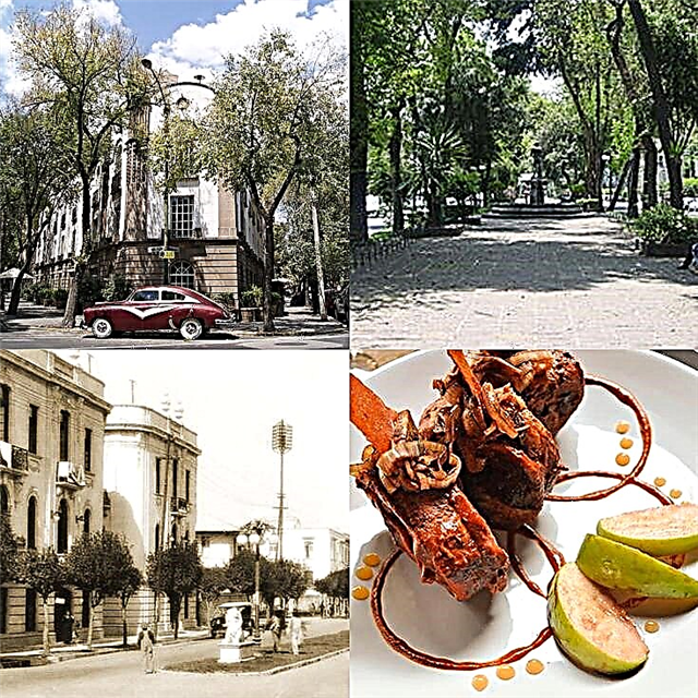 Colonia Roma - Mexico City: Definitiv guide