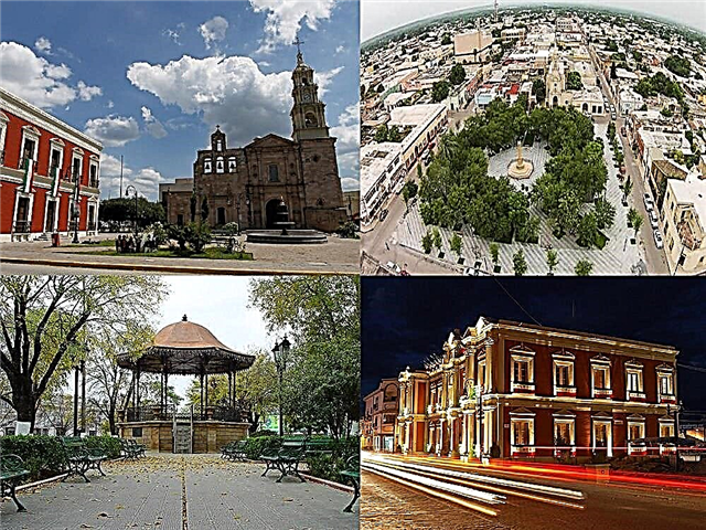 Linares, Nuevo León - Qyteti Magjik: Udhëzues Definitiv