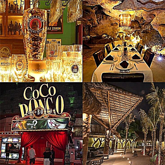 De 12 beste klubbene og barene i Playa Del Carmen