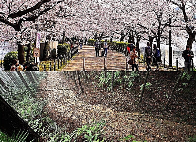Die 15 beste landskappe in Japan wat u moet besoek