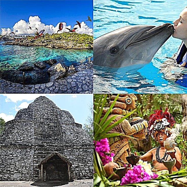 As 12 melhores excursões e passeios na Riviera Maya