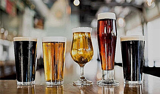 As 15 melhores cervejarias de San Diego, Califórnia, que você precisa visitar