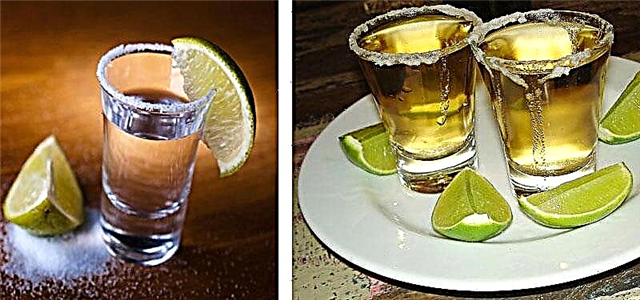 Jalisco Tequila Rotasında ne yapmak ve görmek