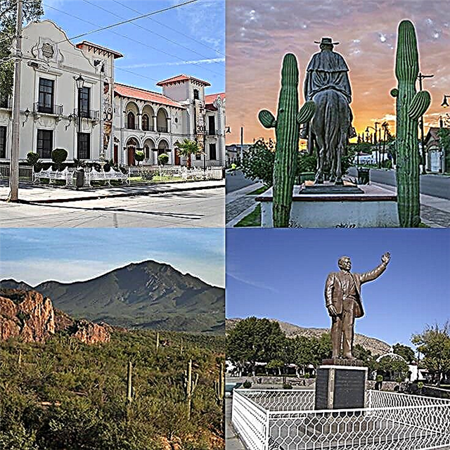 Magdalena De Kino, Sonora-Magic Town : Definitive Guide