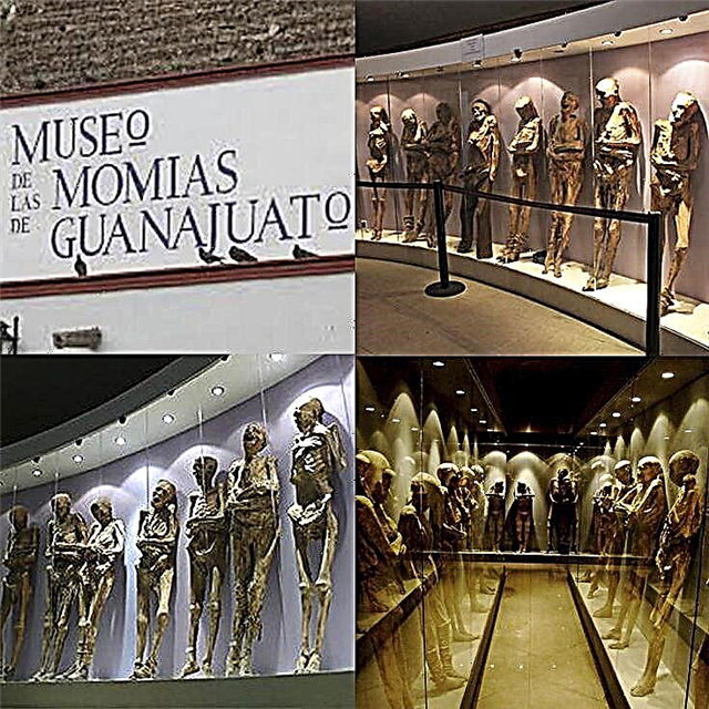 Gidan kayan gargajiya na Mummies na Guanajuato: Jagora Mai Nunawa