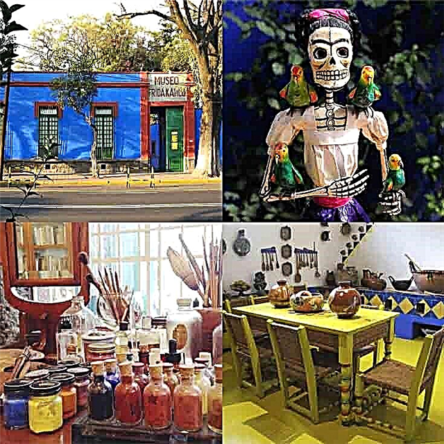 Museo Frida Kahlo: O que ninguén che di