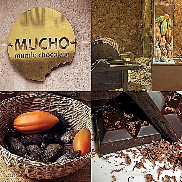 IMexico City Chocolate Museum: Umhlahlandlela Ocacile