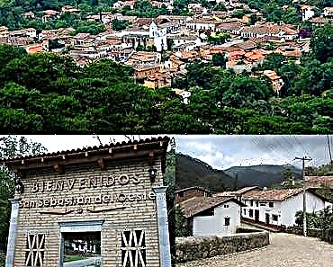 San Sebastián Del Oeste, Jalisco, Toropo ea Boselamose: Tataiso e hlakileng