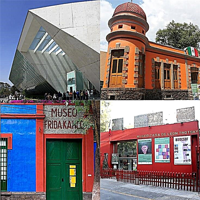 11 bảo tàng hàng đầu ở Coyoacán mà bạn phải ghé thăm