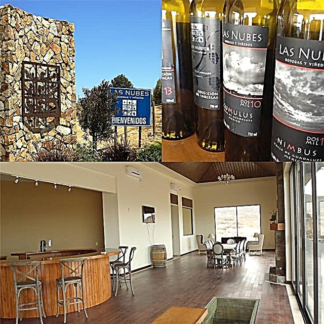 Las Nubes Vineyard, Guadalupe Valley: Definitive Guide
