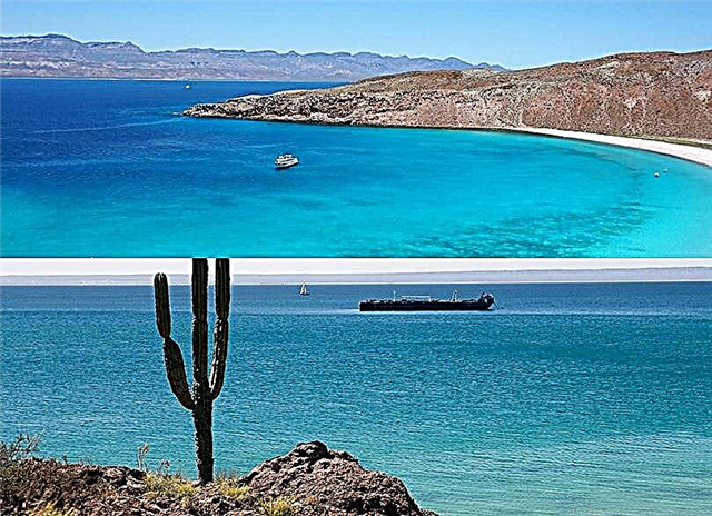15 najboljših stvari za početi in videti v Baja California Norte