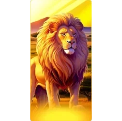 Lion
Safari